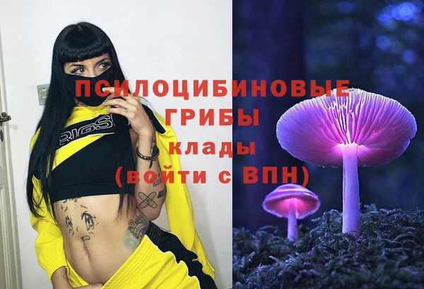 мяу мяу мука Арсеньев