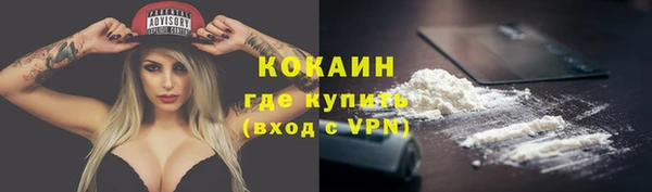 мяу мяу мука Арсеньев